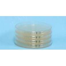 Pre-poured LB(Miller's) agar plate, Ampicillin 50ug/ml, 150mmx65ml