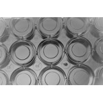 Glass Bottom Cell Culture Dish, F 15mm,TC, sterile 10/pk, 200/cs