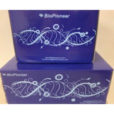 BP-10 Spin Column Total RNA Miniprep Super Kit, 100 preps